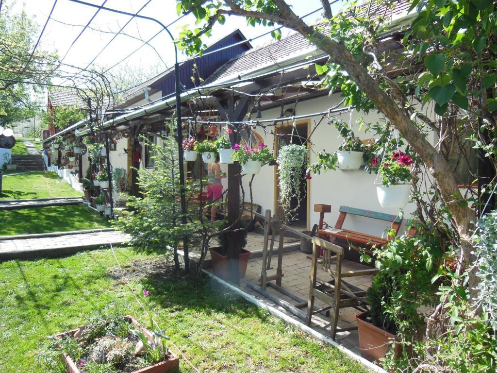 Pension Bassen Bazna Ngoại thất bức ảnh