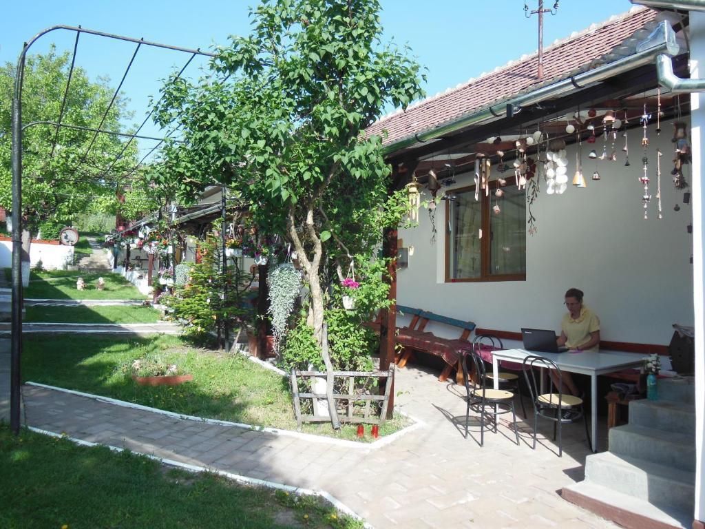 Pension Bassen Bazna Ngoại thất bức ảnh